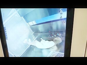 电梯监控偷拍 白衣靓妹尿急直接脱下裤子在里面尿尿貌似还想用手去擦地上的尿渍